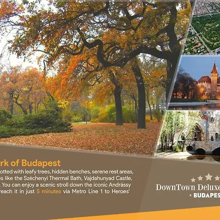 Downtown Deluxe Apartment