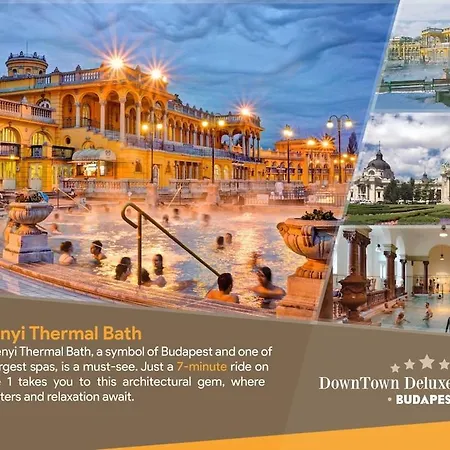 Downtown Deluxe Apartment